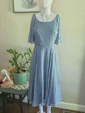 Gal Meets Glam Light Blue Swiss Dot Midi Dress